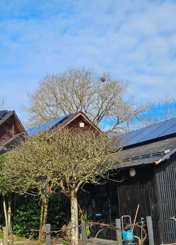 OIKA - Panneau solaire